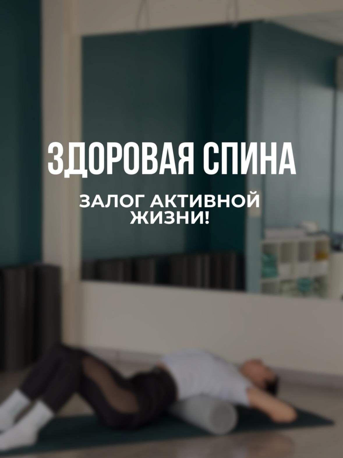 Фотография из публикаций студии ГИБЧЕ