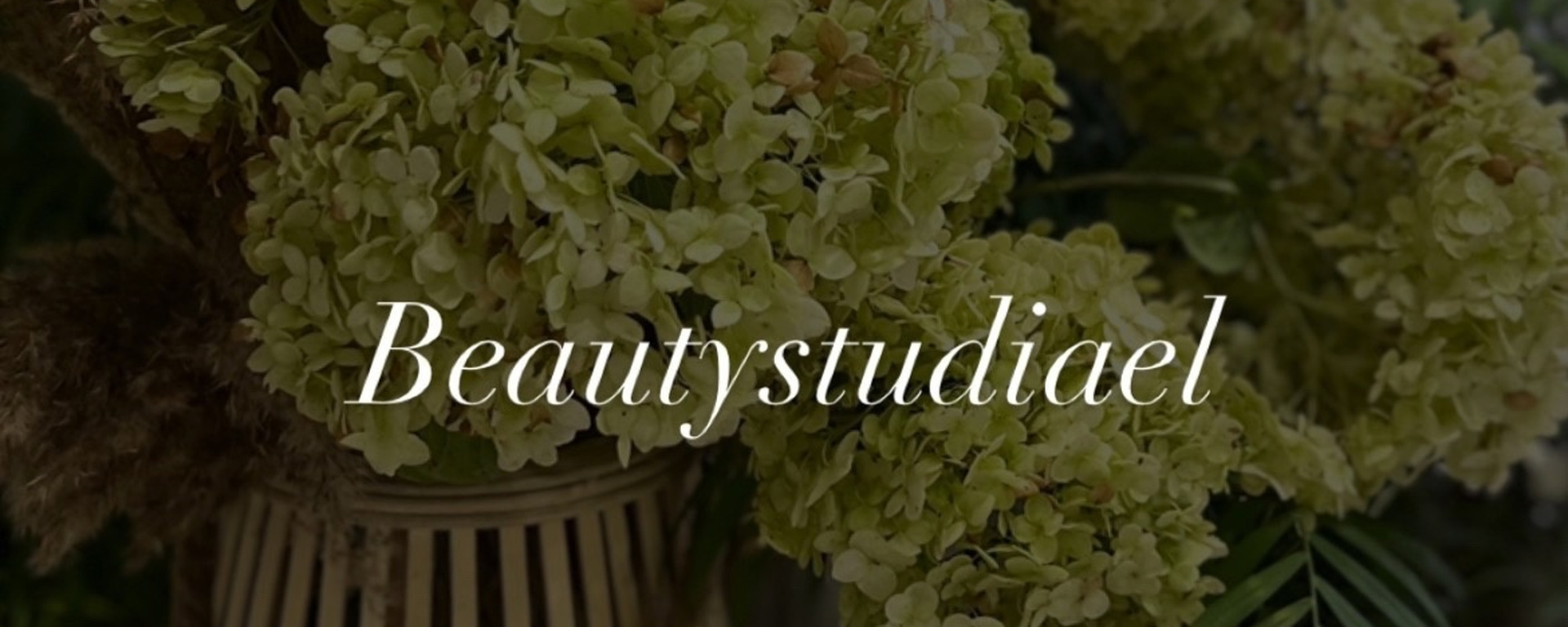 Обложка студии красоты Beautystudia EL