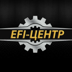 Логотип EFI-центра