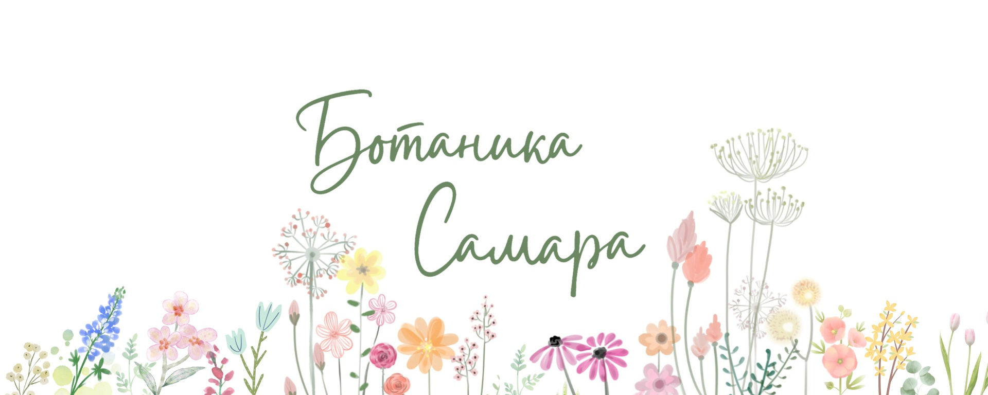 Обложка цветочного магазина «Ботаника»