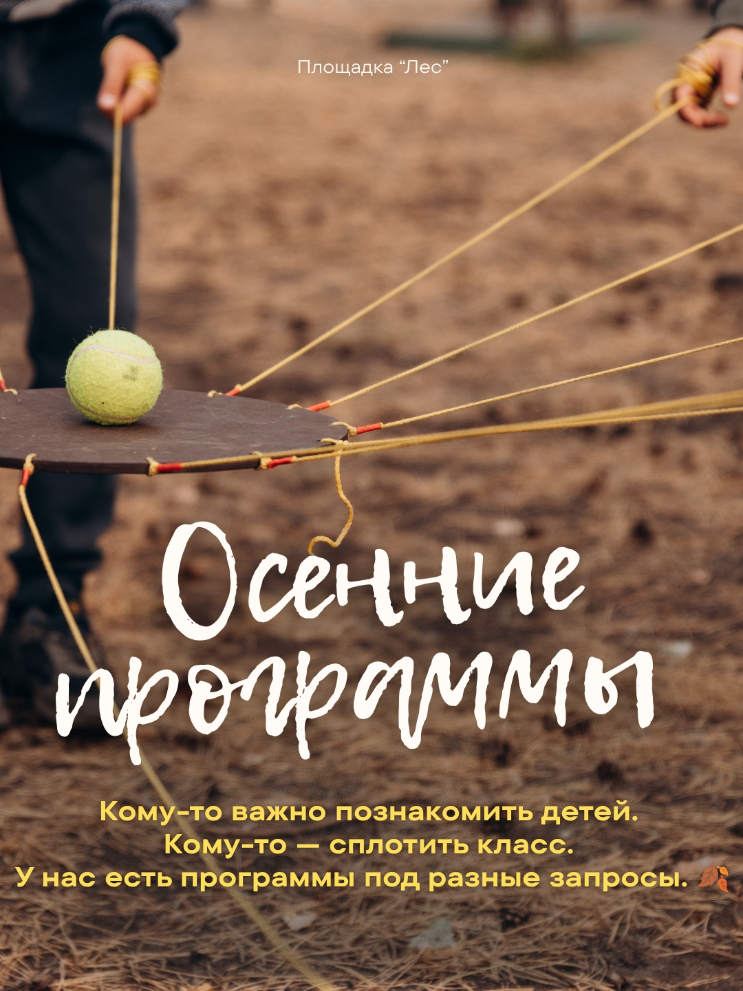 Фотография из сообщества «Лес»