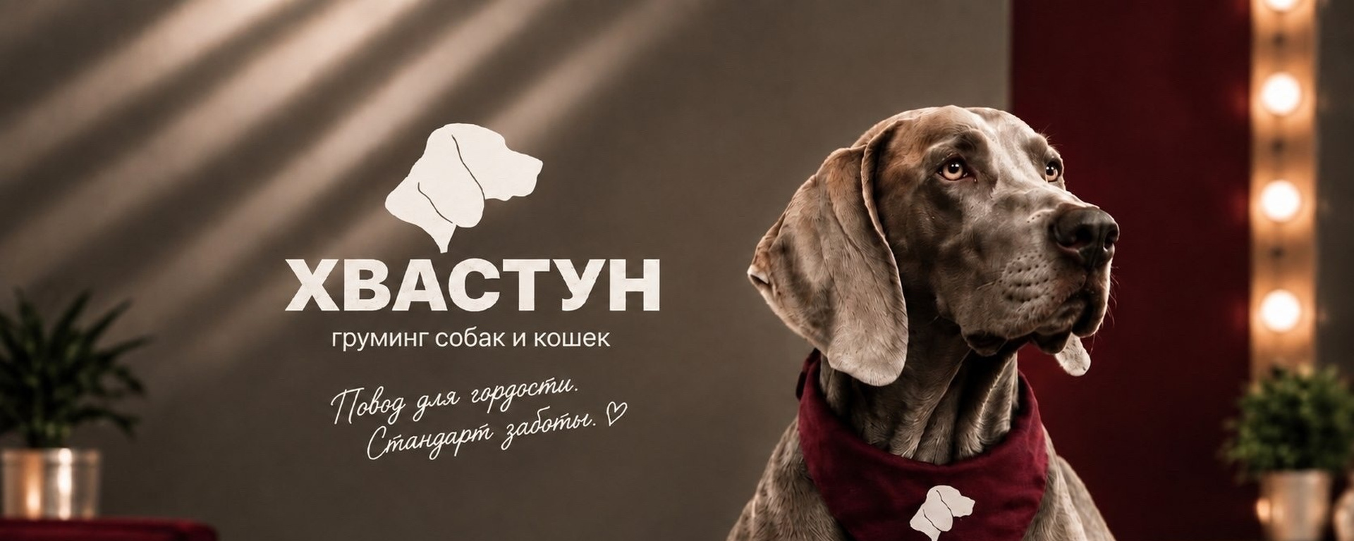 Обложка студии груминга «Хвастун»