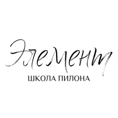 Логотип школы Элемент