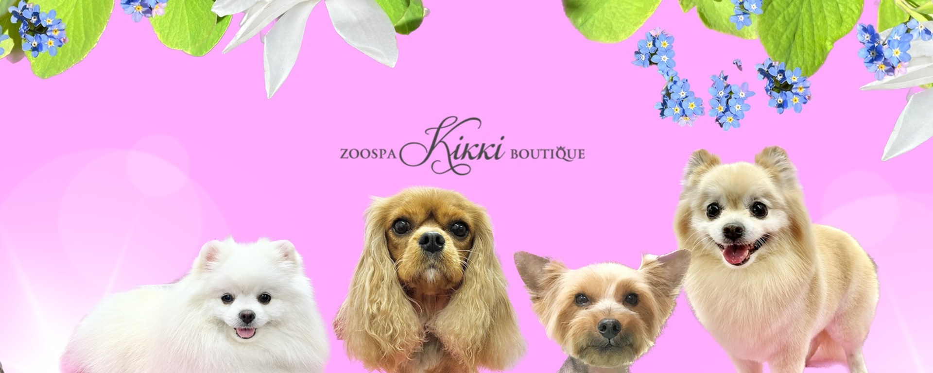 Обложка салона Zoospa Kikki