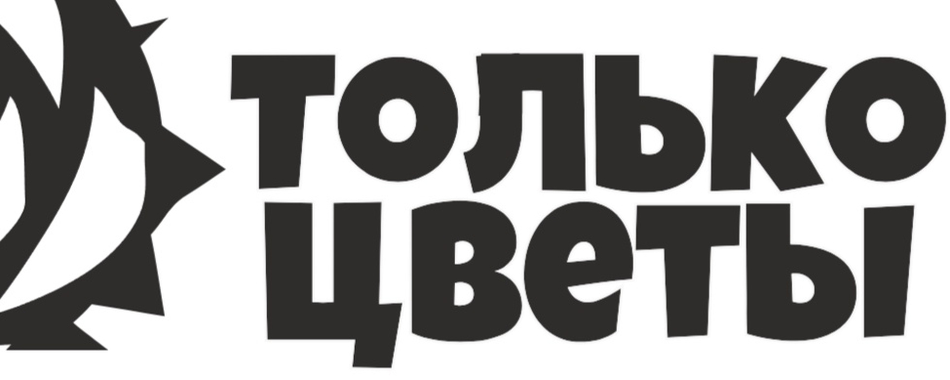 Обложка «Только цветы!»