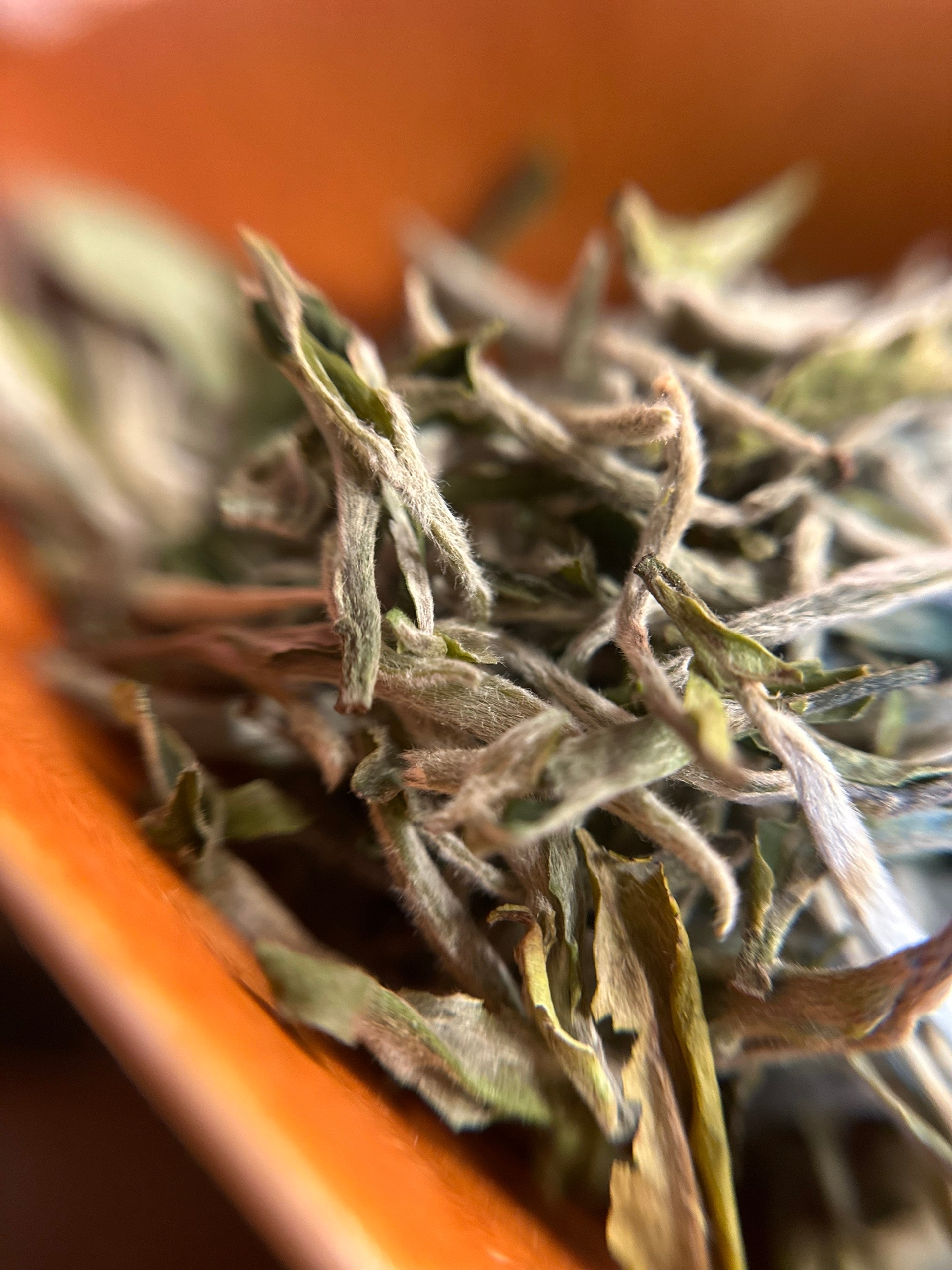 Фотография из галереи Sun tea