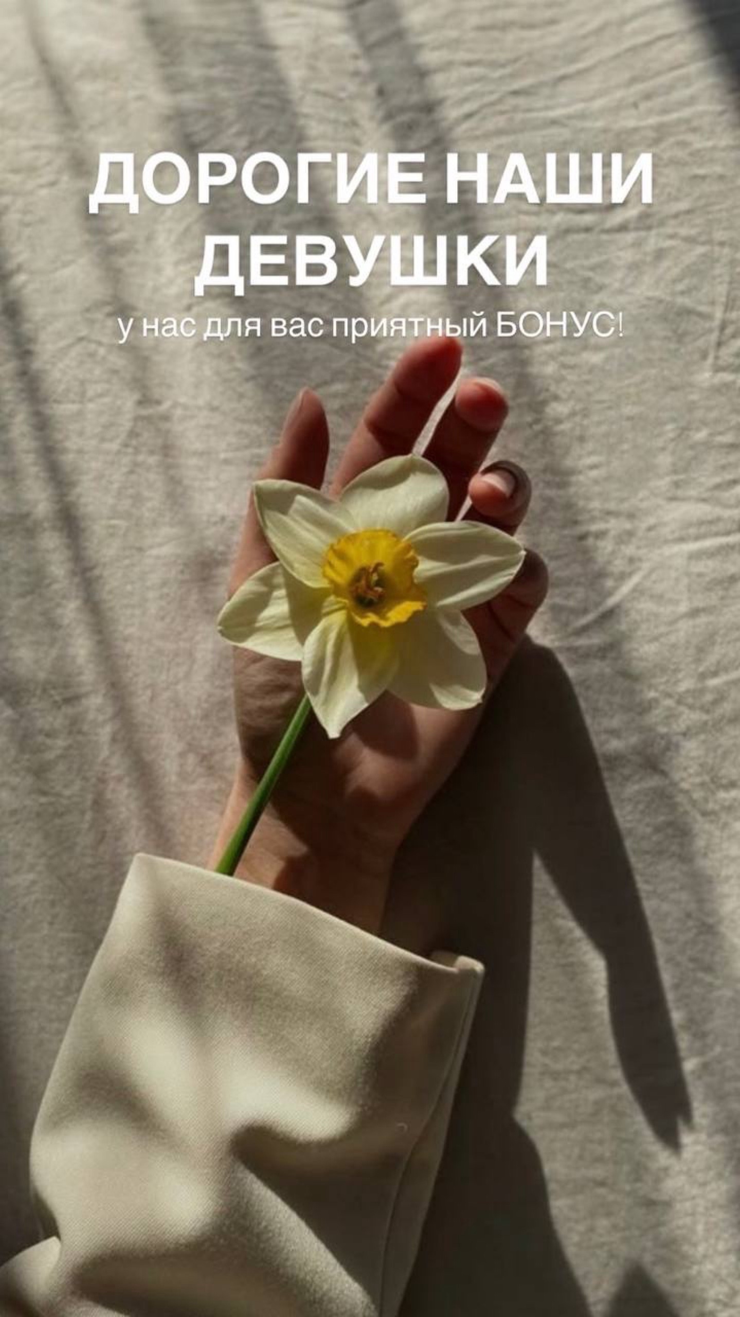 Фото из галереи Beautystudia EL — 1
