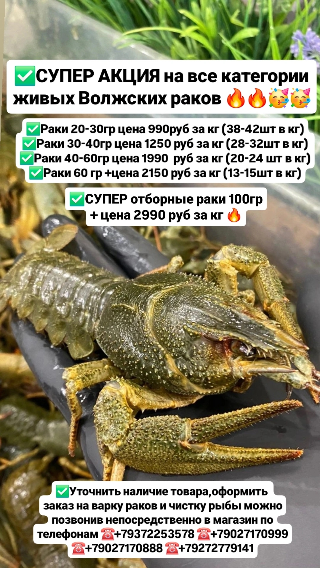 Фотография магазина Раковар — 1