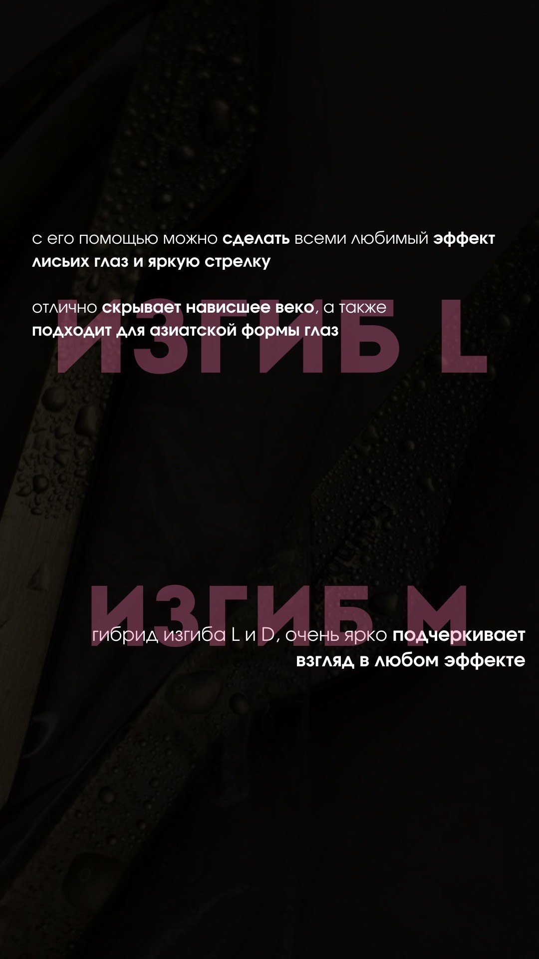Фотография из публикации студии, 5