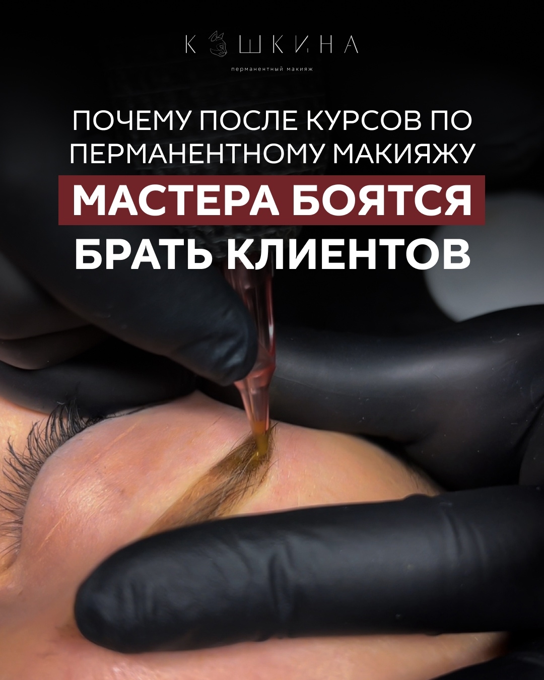 Фотография из материалов студии Кошкина