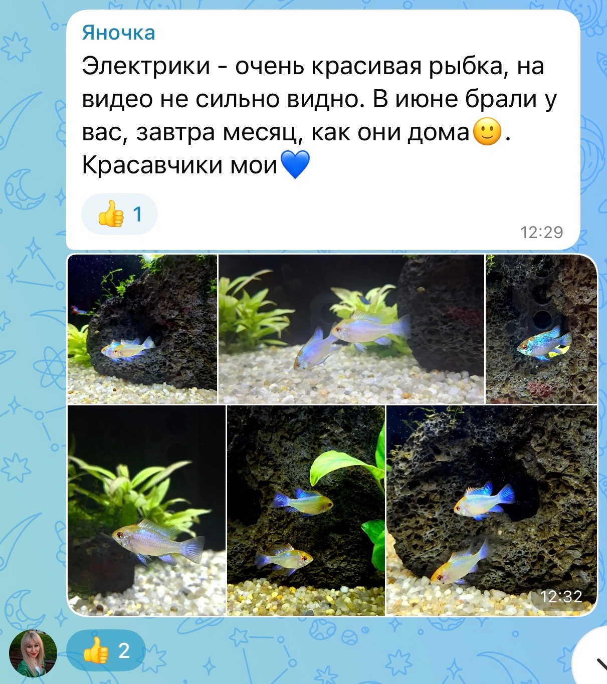 Фотография из публикаций Аквацентра — 1