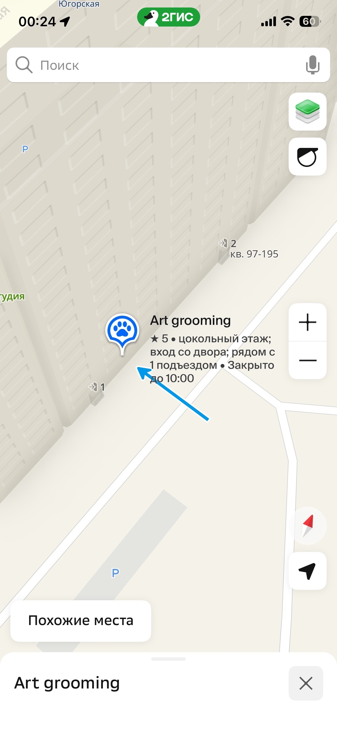 Питомец в фотогалерее Арт Груминг
