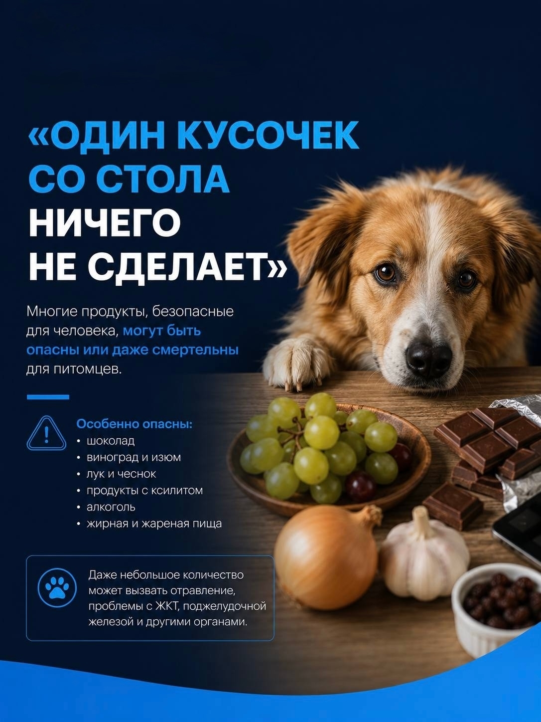 Фотография из галереи клиники «Умка»