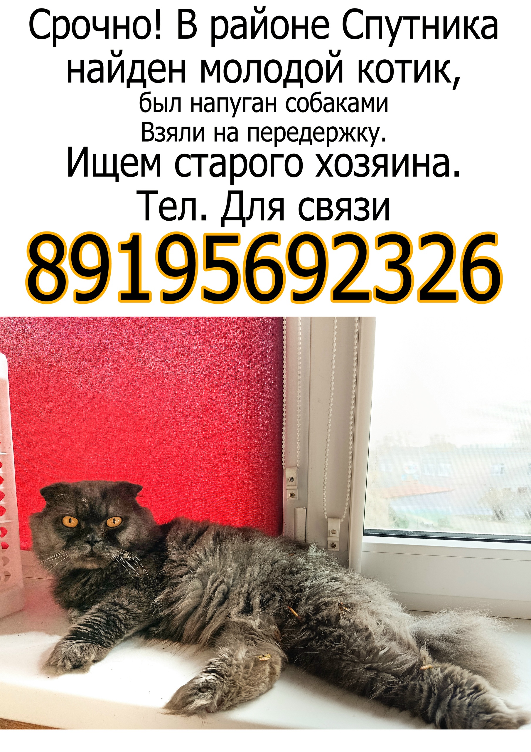Материалы из публикаций фотоцентра
