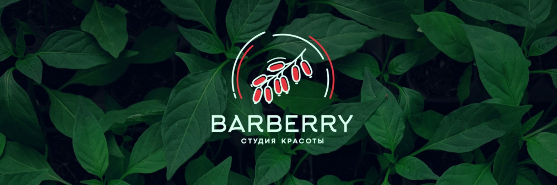Обложка студии красоты «Барбарис»