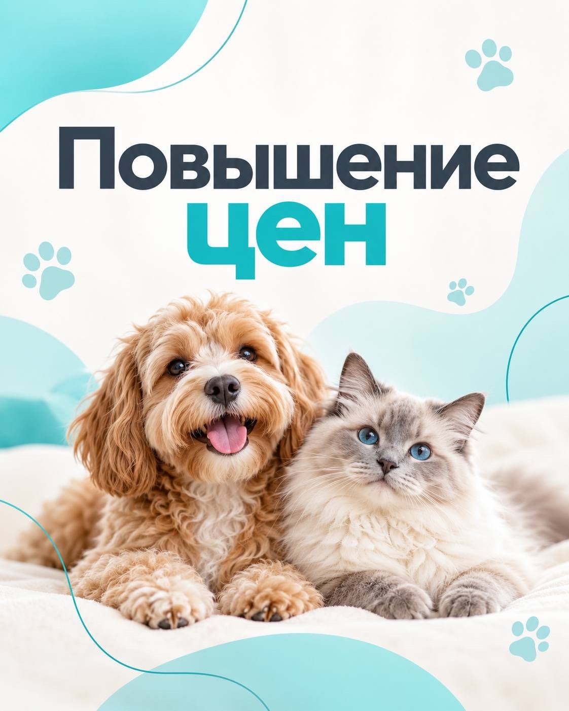 Фотография из сообщества ДогСферы, 1