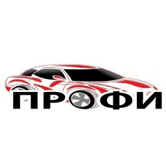 Логотип Профи