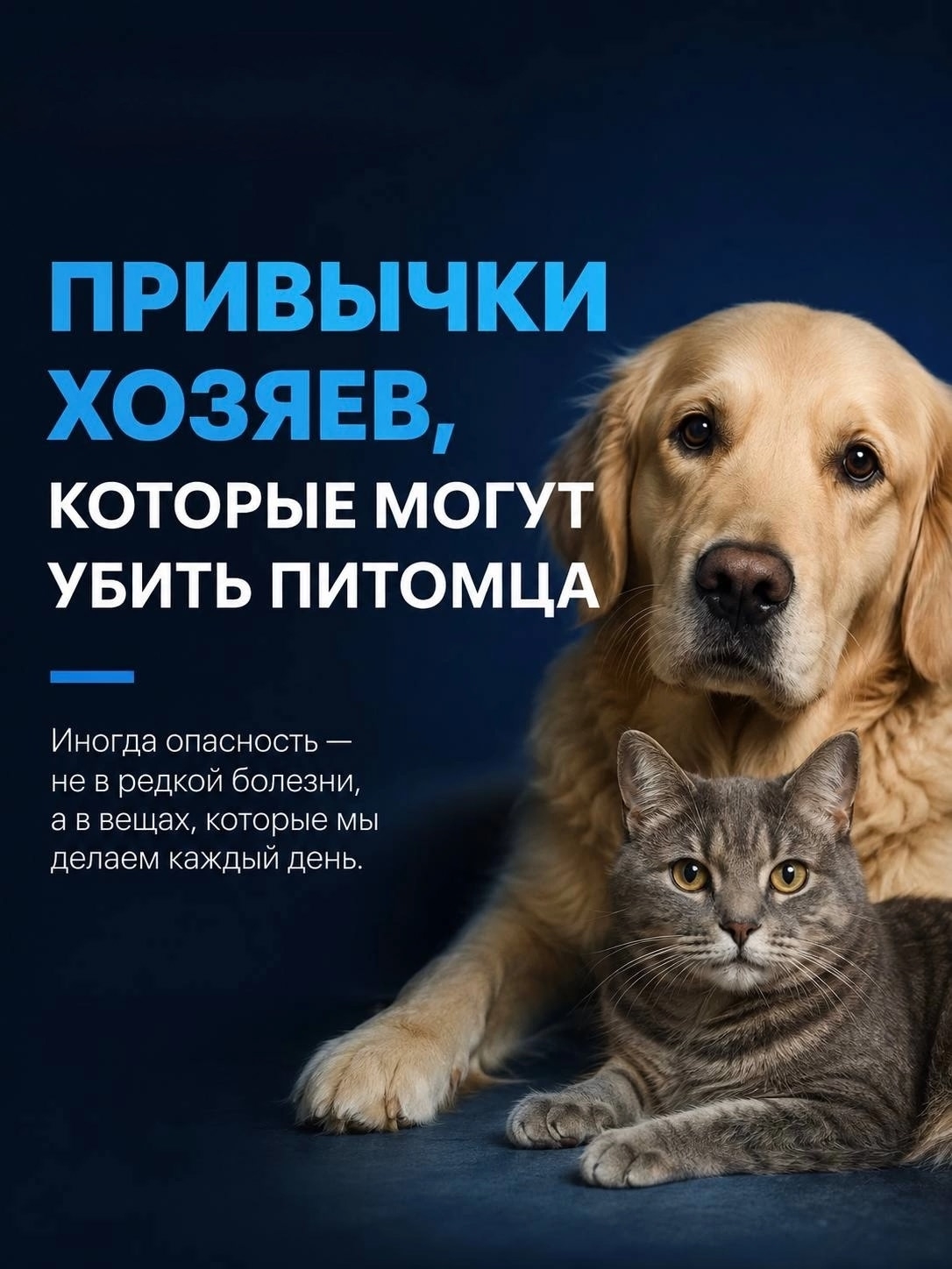 Материалы ветеринарной клиники «Умка»