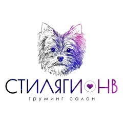 Логотип СтилягиНВ