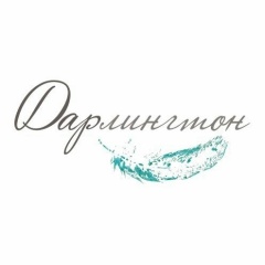 Логотип студии Дарлингтон