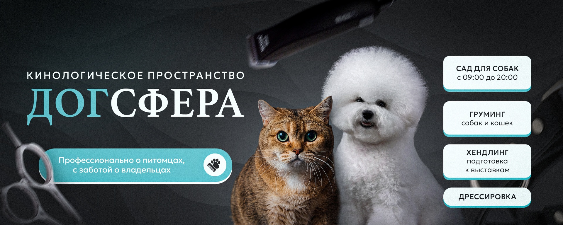 Обложка ДогСферы